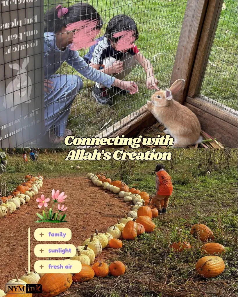 Family Fall Fair promo collage: children petting a rabbit through a fence and a child walking a path lined with pumpkins.
